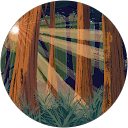 Jenn Hammerschmid profile picture