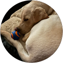 Leslie Allaire profile picture